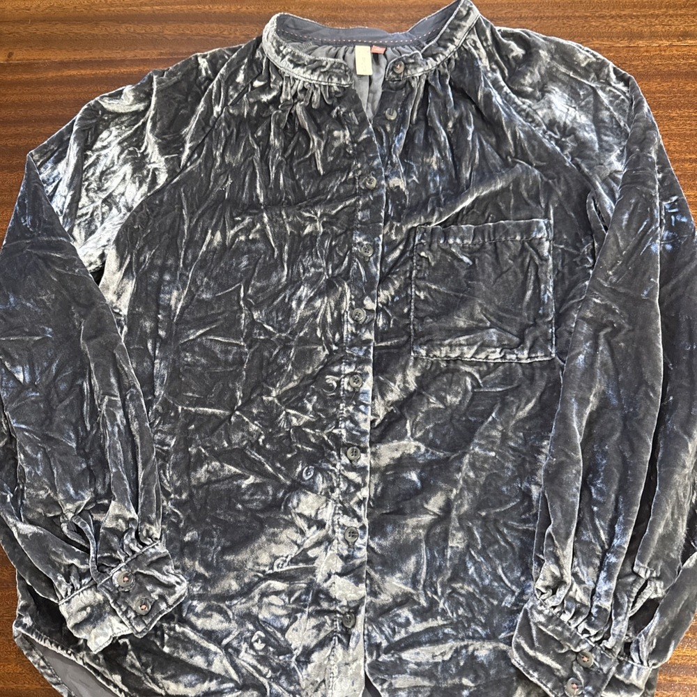 Pilcro Silver Velvet Crop Top